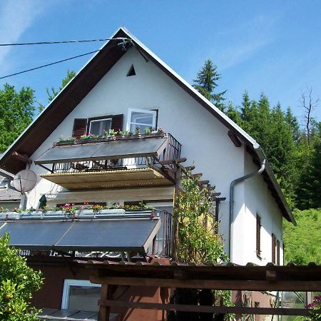 Riedl Gaestewohnung Klagenfurt am Woerthersee Екстер'єр фото