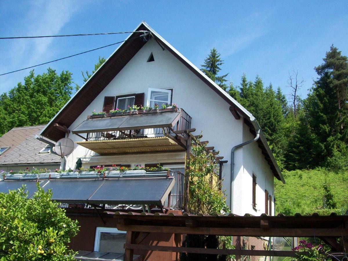 Riedl Gaestewohnung Klagenfurt am Woerthersee Екстер'єр фото